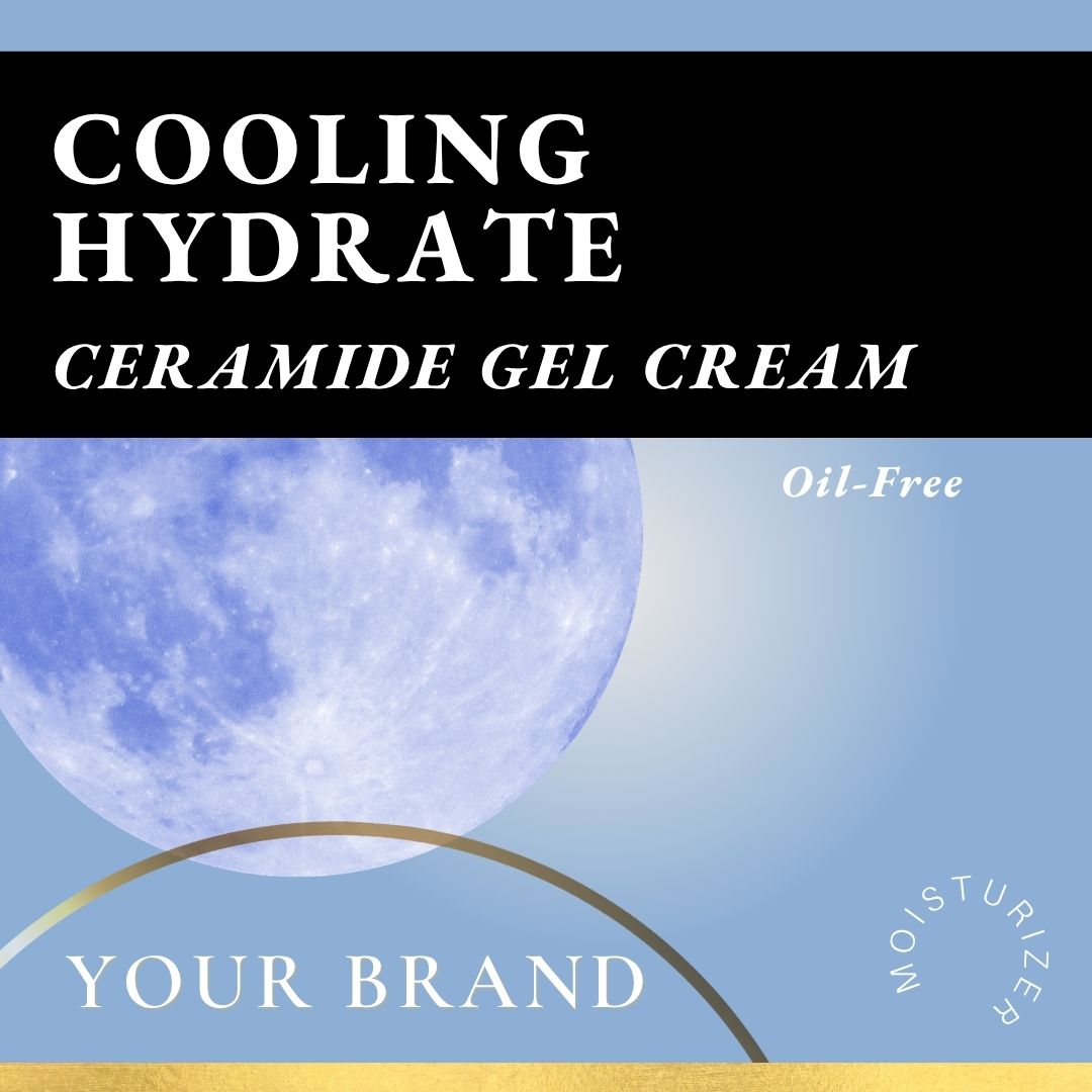 Cooling Oil free moisturizer post treatment for private label - Ataliene private label