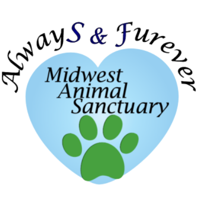 Always & Furever Midwest Animal Sanctuary